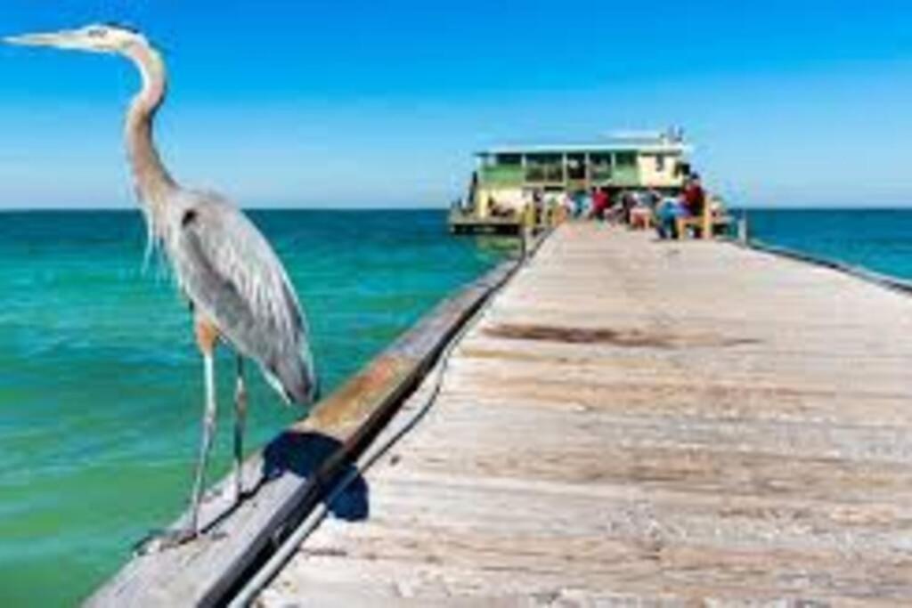 Apartamento Waterview Oasis Retreat, Minutes To Anna Maria Island And Img Bradenton Exterior foto